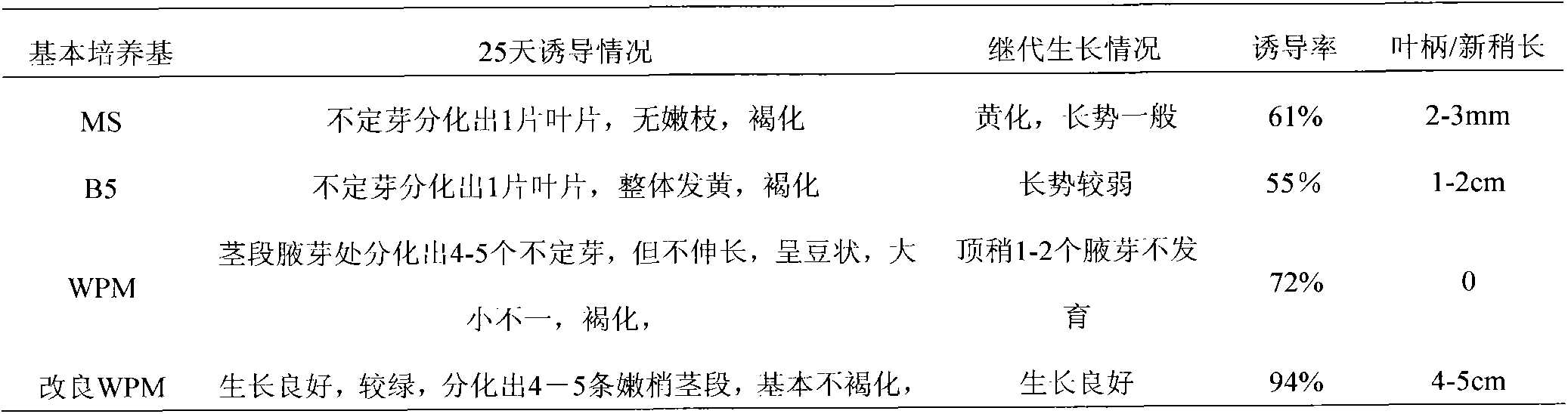 Michelia compressa tissue culture propagation method