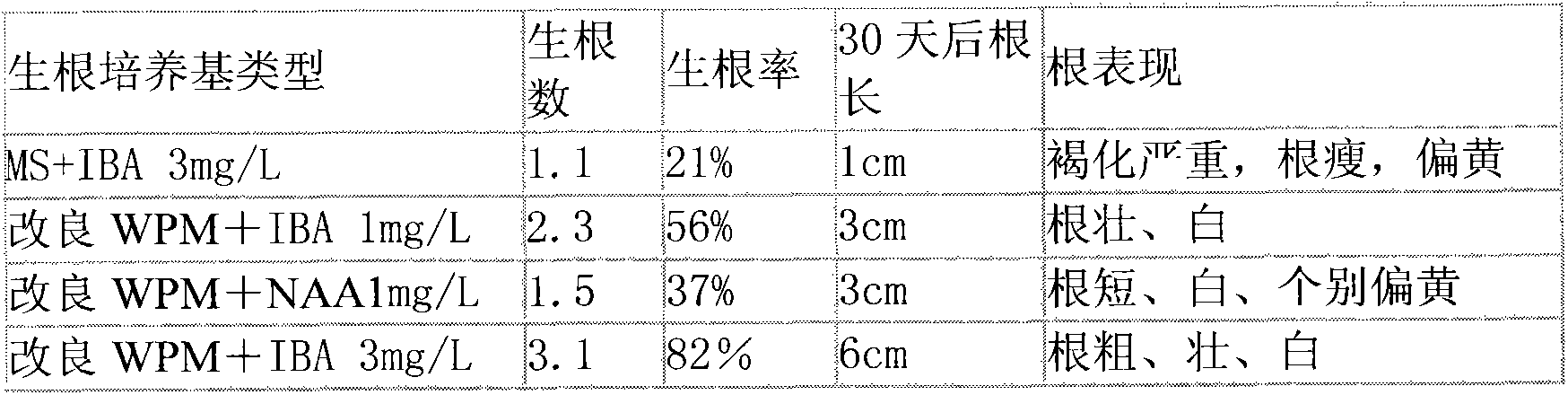 Michelia compressa tissue culture propagation method