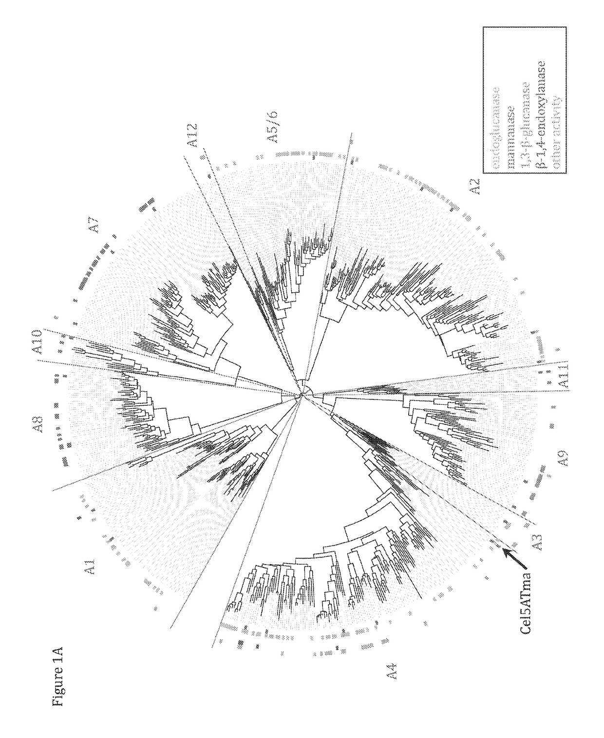 Glycoside hydrolases having multiple hydrolase activities