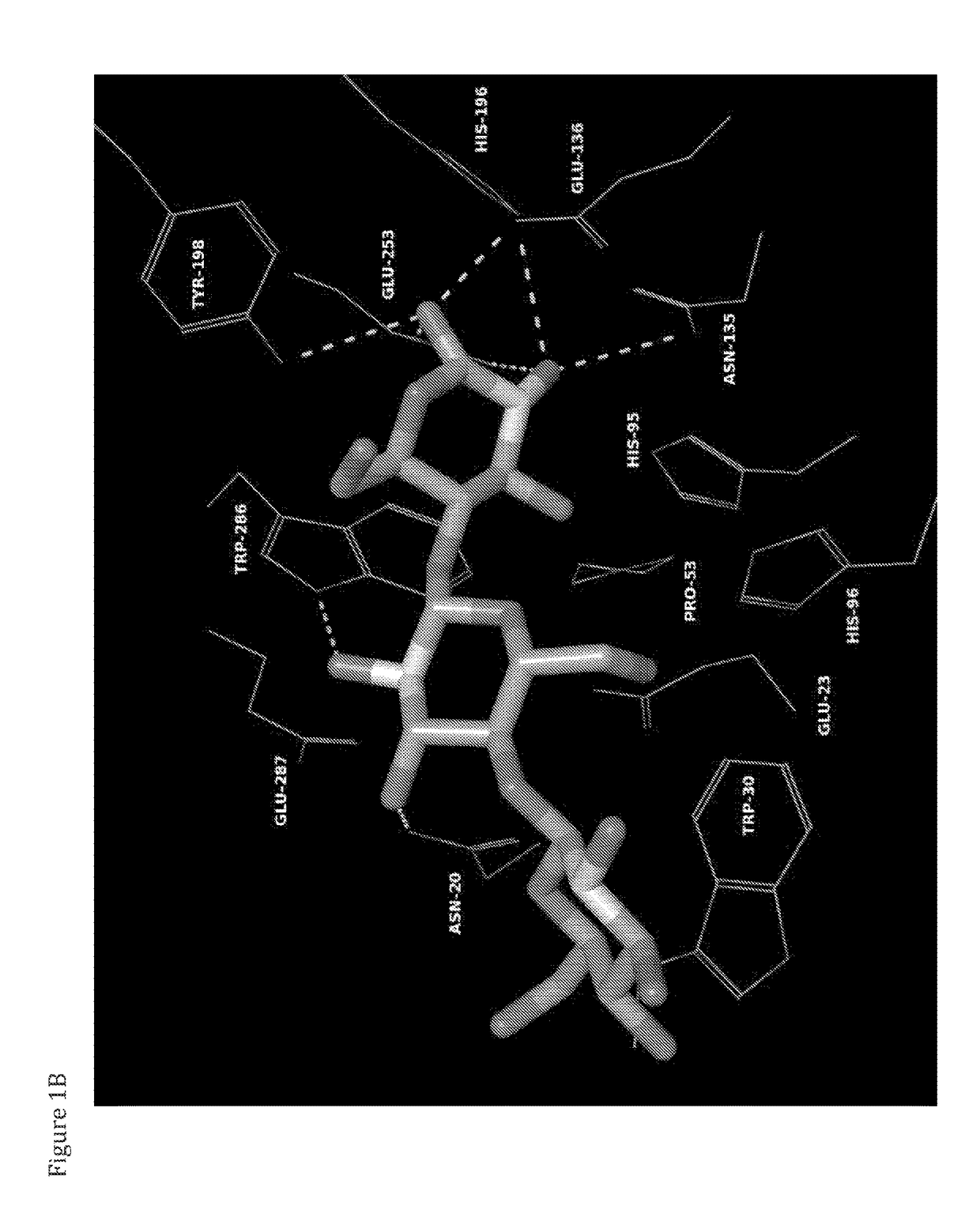 Glycoside hydrolases having multiple hydrolase activities