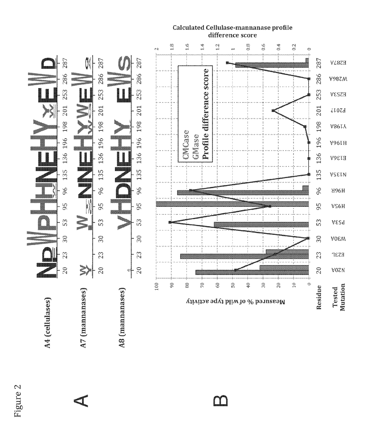 Glycoside hydrolases having multiple hydrolase activities