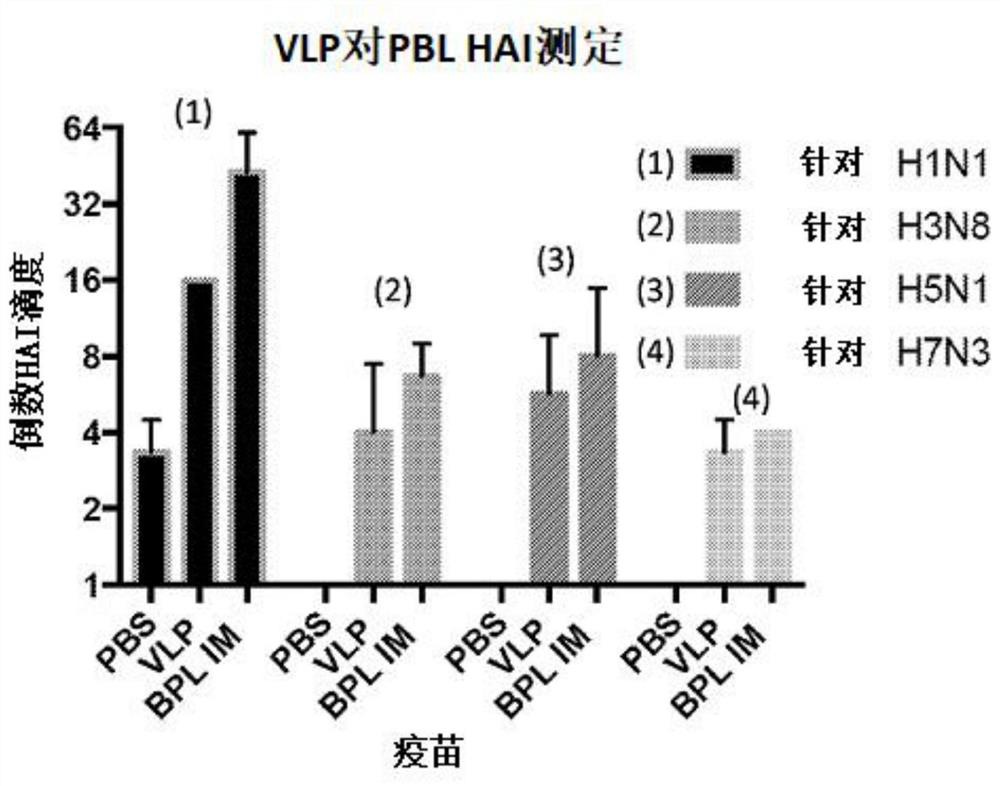 Broadly protective inactivated influenza virus vaccine