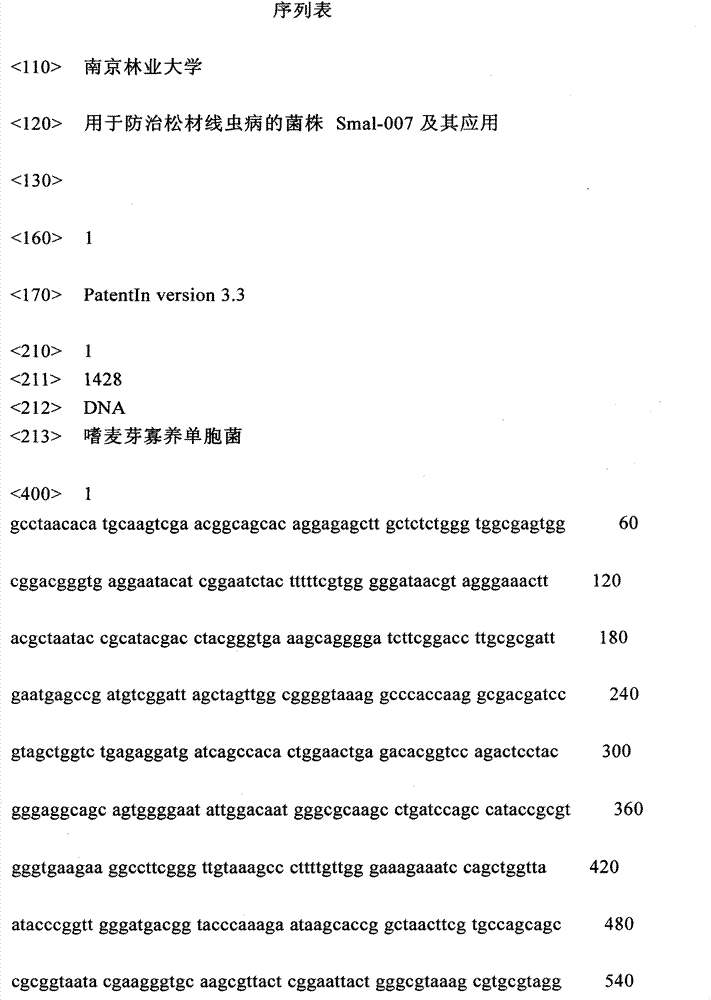 Bacterial strain Smal-007 for controlling pine wilt disease and application of bacterial strain