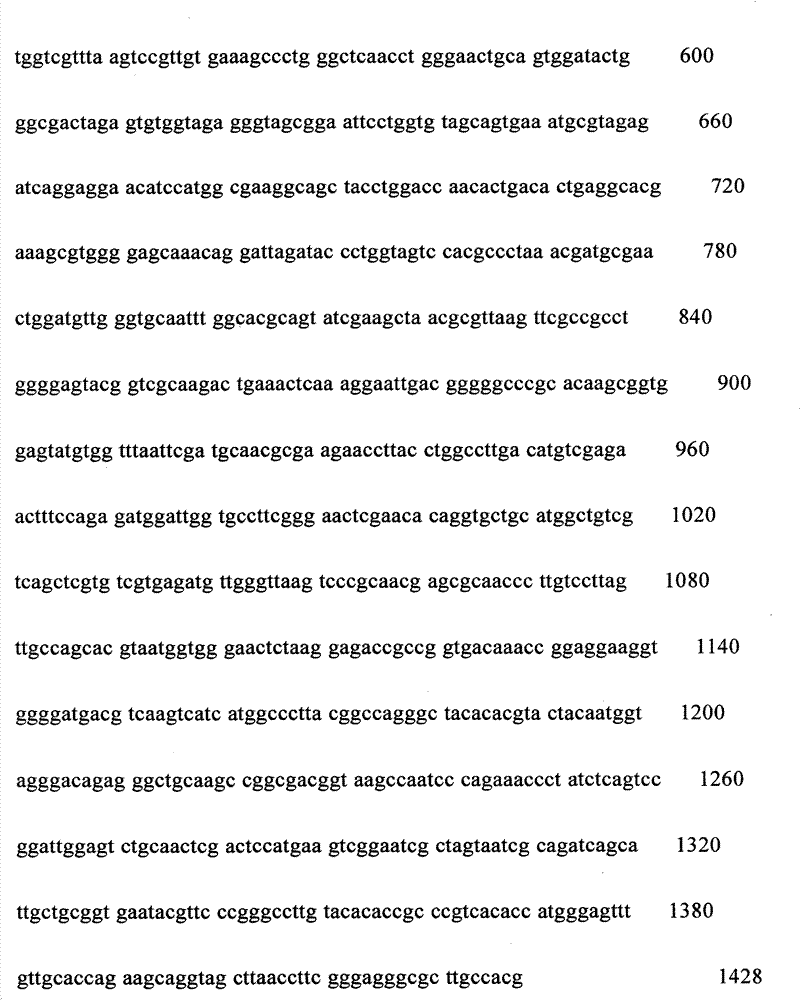 Bacterial strain Smal-007 for controlling pine wilt disease and application of bacterial strain