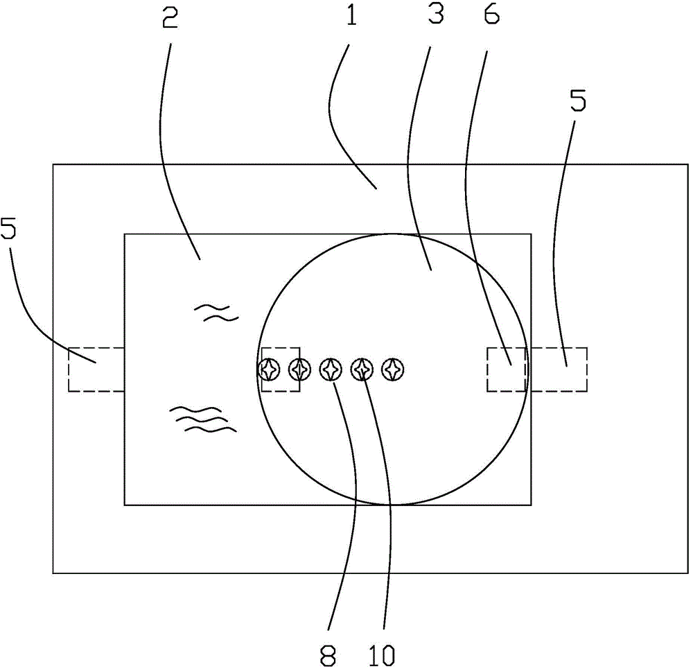 New beef freshness detection device and detection method