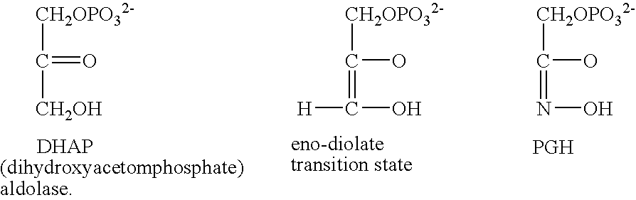 Methods for indentifying compounds that modulate an enzyme involved in riboflavin metabolism in a pathogenic microorganism