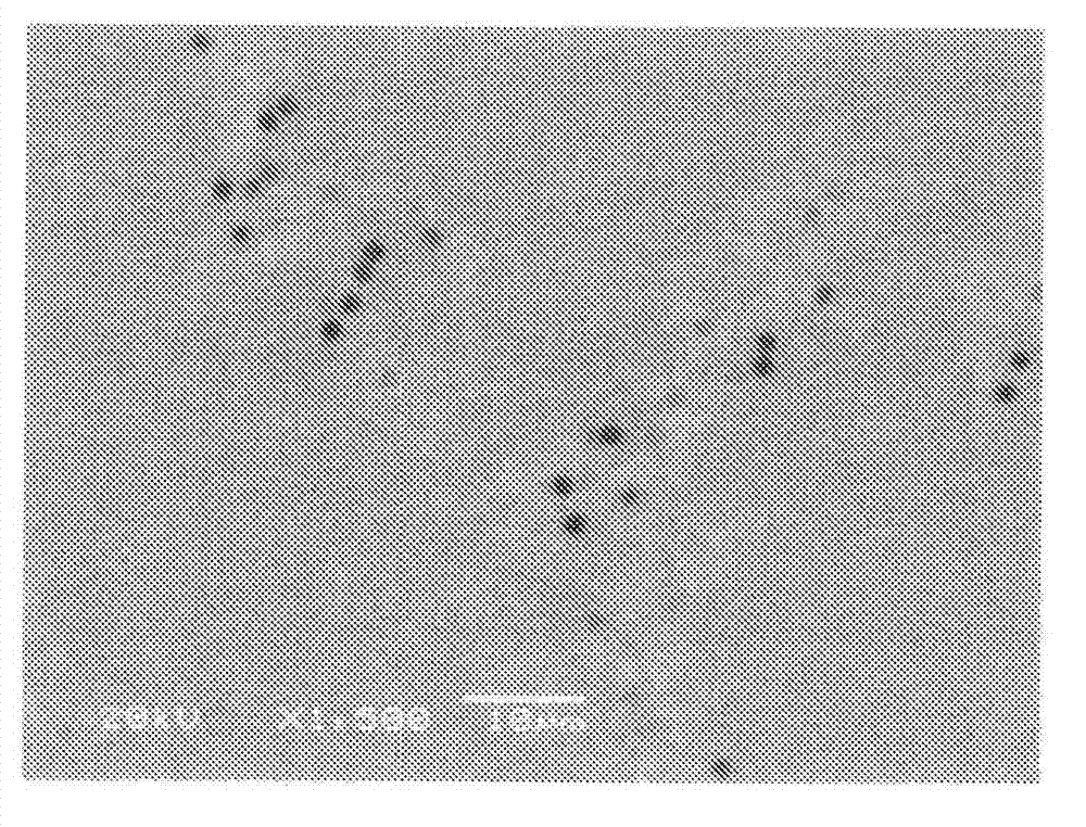 Optical laminate, polarising plate and display device