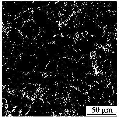 High-entropy alloy with high principal element single-phase close-packed hexagonal structure and preparation method thereof