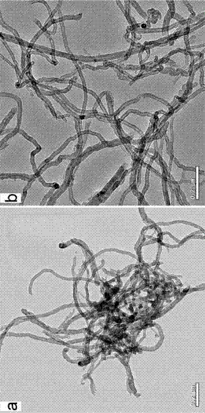 Surface modification method of carbon nanotube, carbon nanotube and application thereof