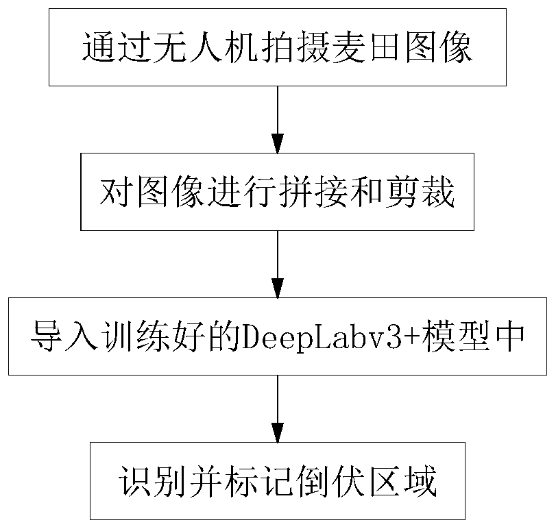 Method for identifying lodging regions of wheat in multiple growth periods based on transfer learning