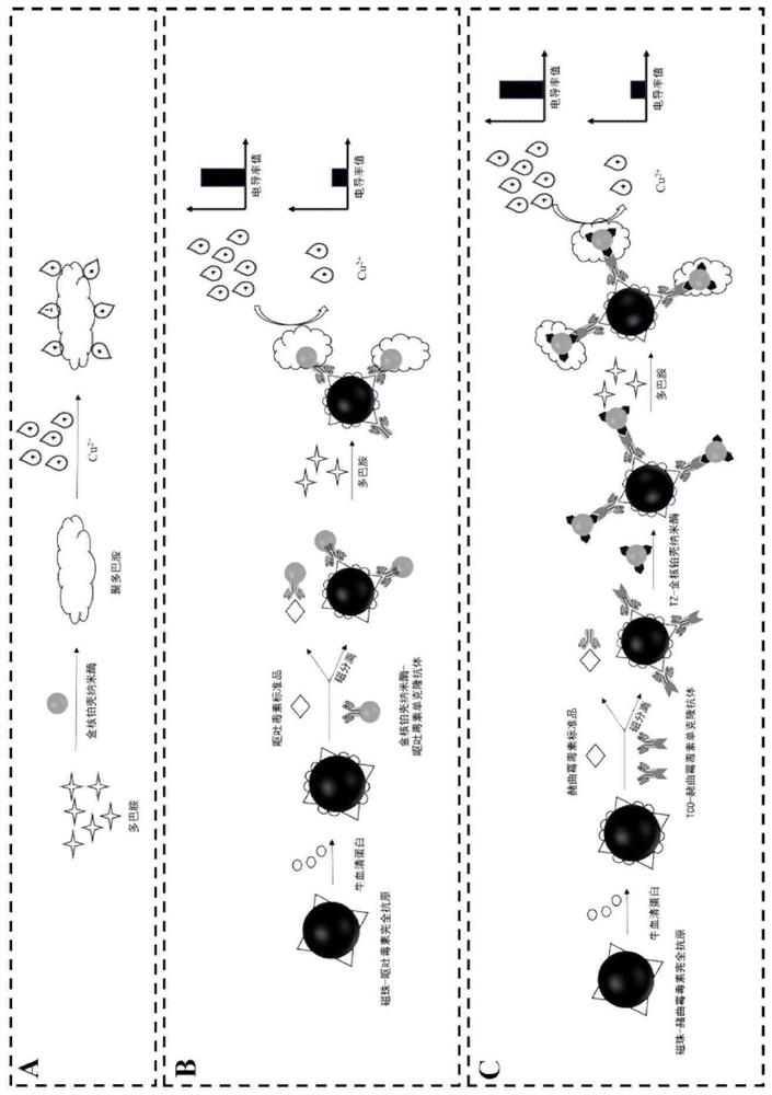 Construction method and application of polydopamine-mediated modification-free portable conductivity immunosensor with adjustable linear range