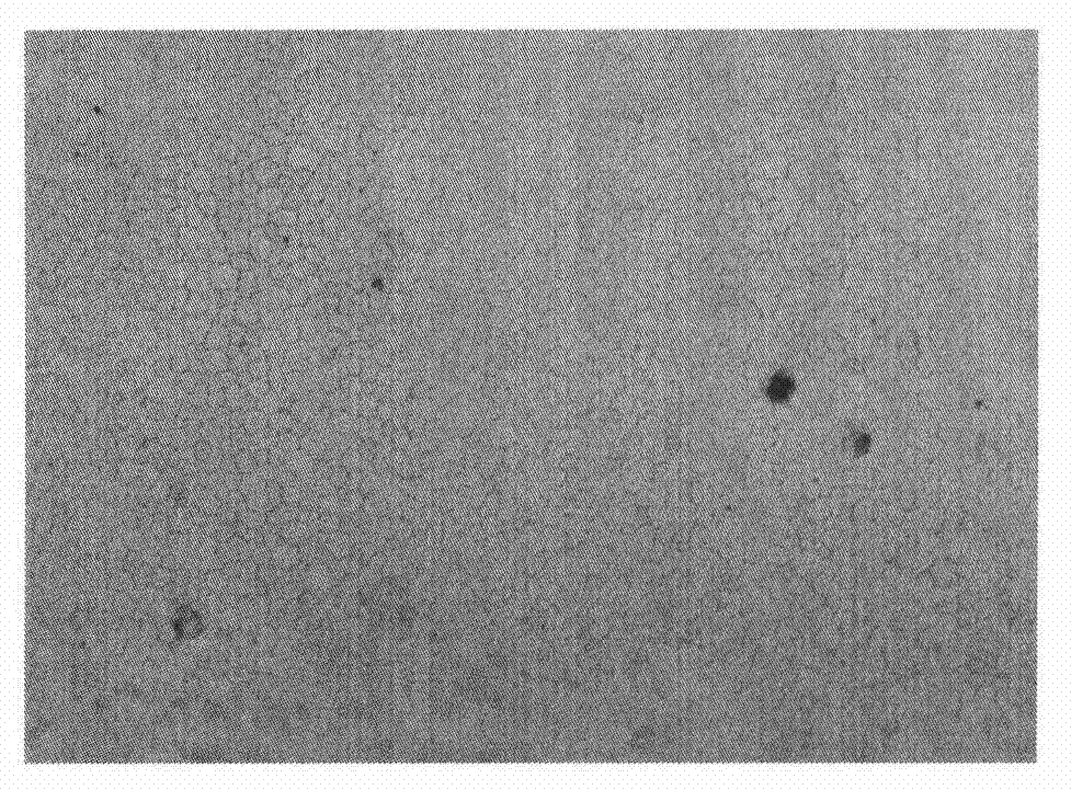 Corneal midterm preservation solution and preparation method thereof