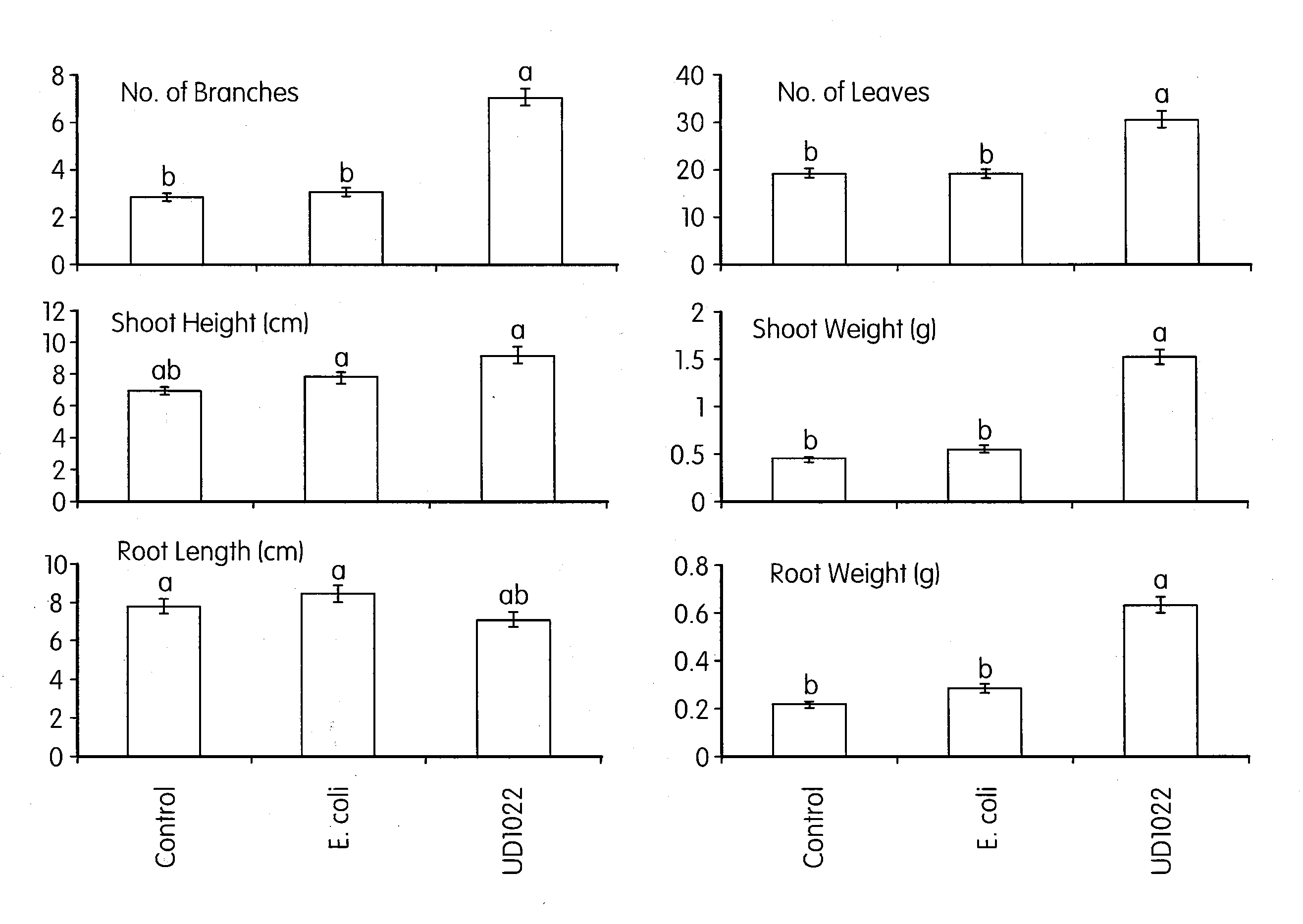 Compositions and methods for increasing biomass, iron concentration, and tolerance to pathogens in plants