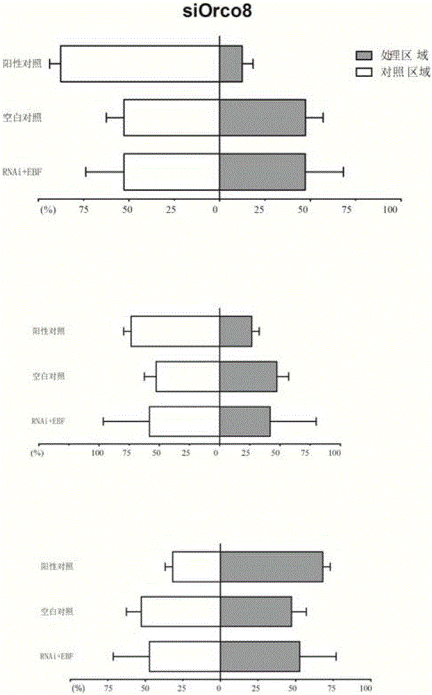 siRNA designed based on conservative olfactory receptor Orco gene of sitobion avenae and application thereof