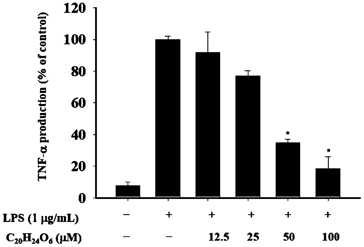 Preparation method and application of cichorium glandulosum Boiss lignin extract