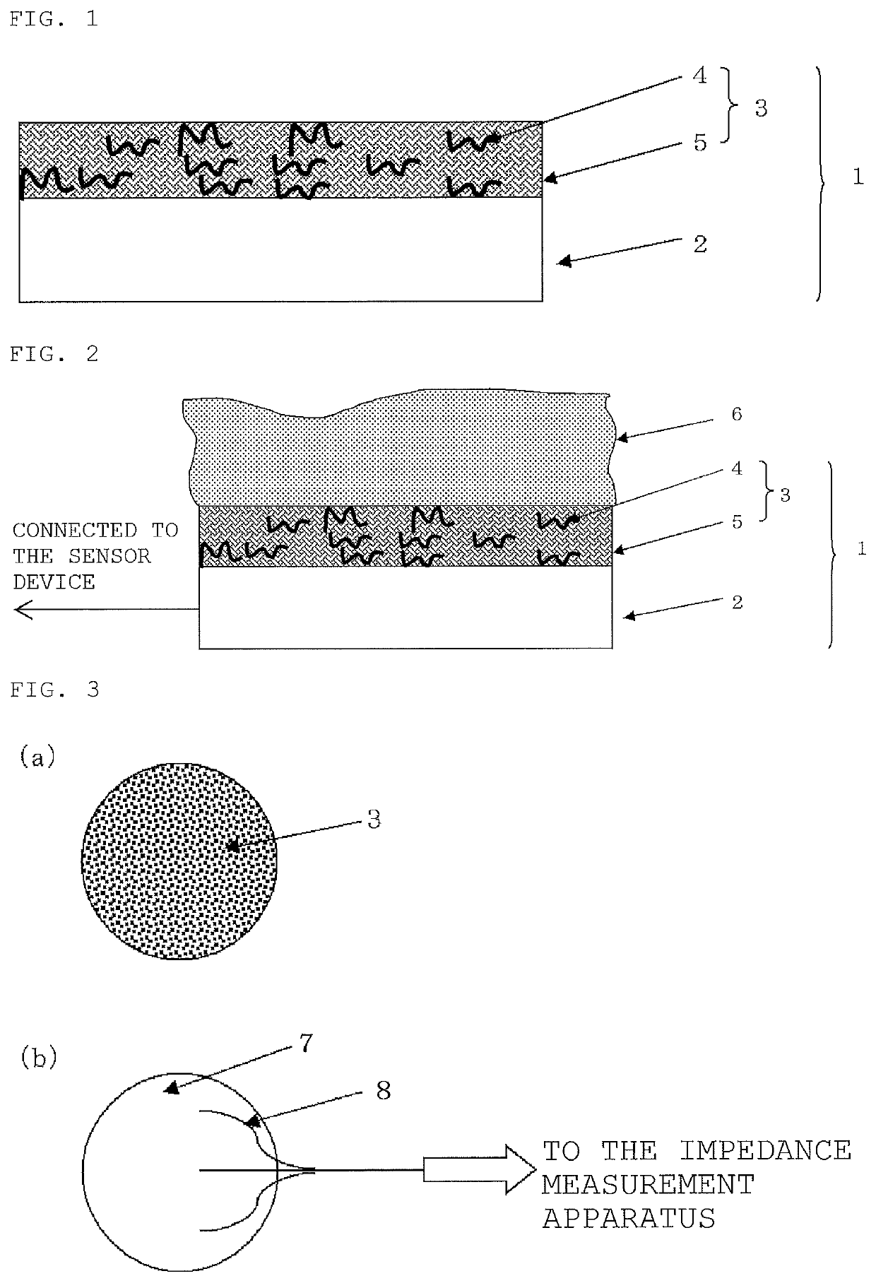 Polymerizable monomer, polymer compound, biological electrode composition, biological electrode, and method for producing biological electrode