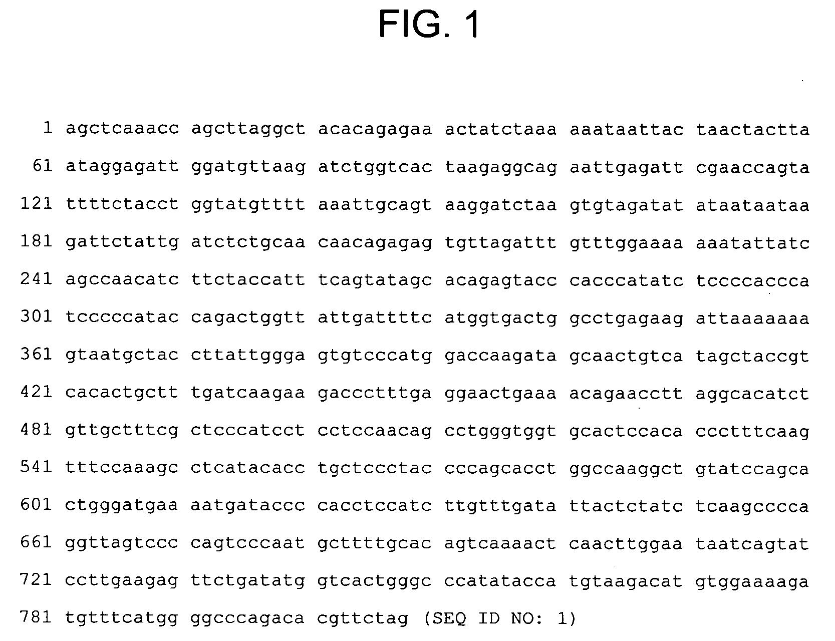 Gene reactivation by somatic hypermutation