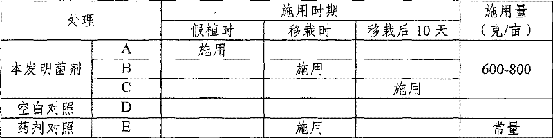 Bacillus licheniformis agent for preventing and treating black shank and preparation method thereof