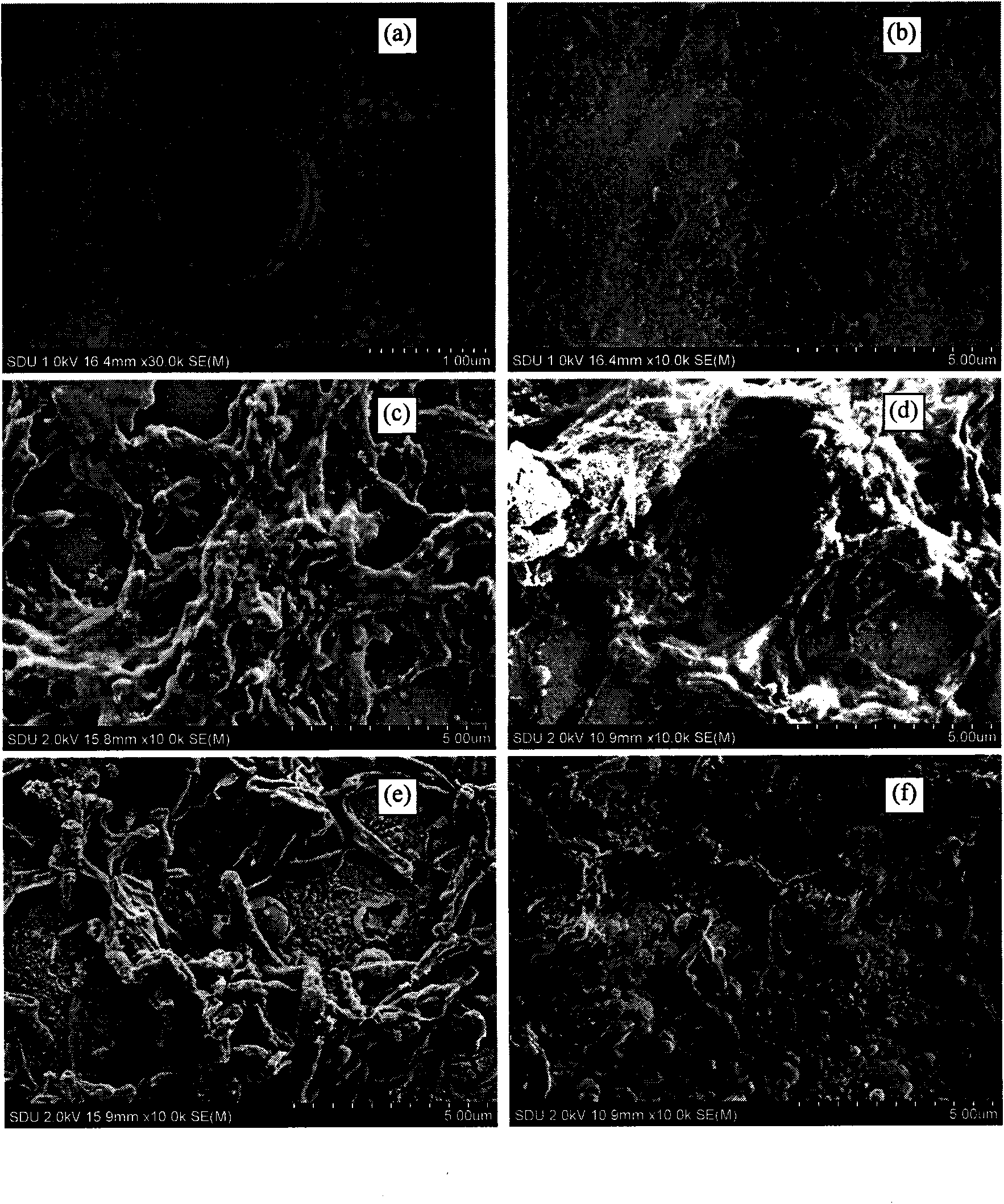 Hydroxylapatite-bioglass film and preparation technology thereof