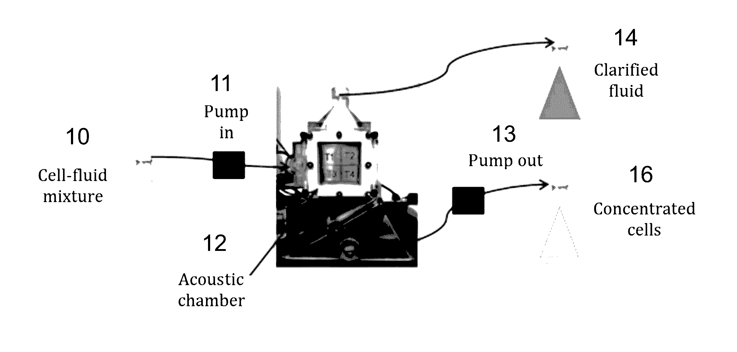 Methods and apparatus for particle aggregation using acoustic standing waves