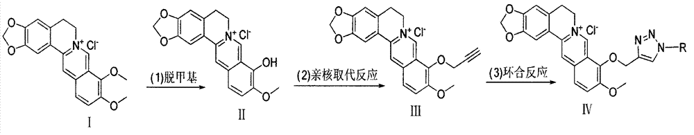 Synthesis of berberine derivatives and application of berberine derivatives in preparing anti-tumor drug and anti-tumor drug composition in combination with adriamycin