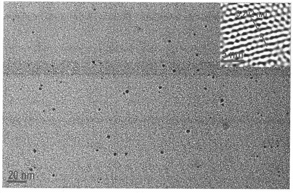 Preparation method of petroleum asphalt-based carbon quantum dot and application of petroleum asphalt-based carbon quantum dot prepared by method