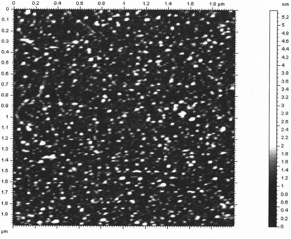 Preparation method of petroleum asphalt-based carbon quantum dot and application of petroleum asphalt-based carbon quantum dot prepared by method