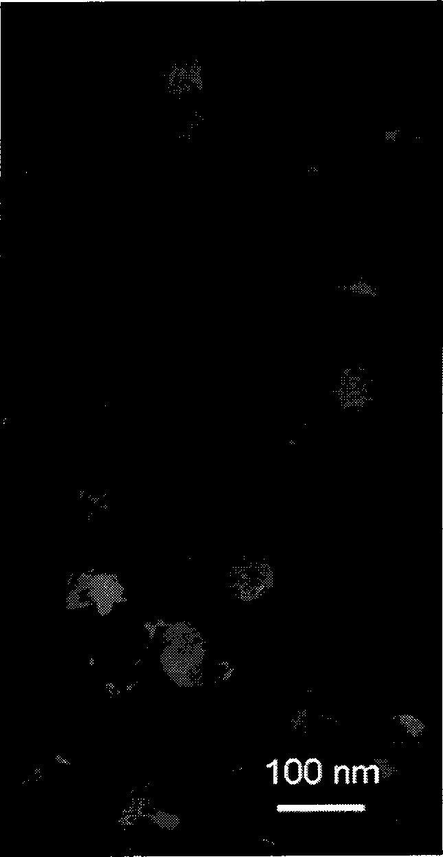 Novel cation lipoid, preparation and use thereof