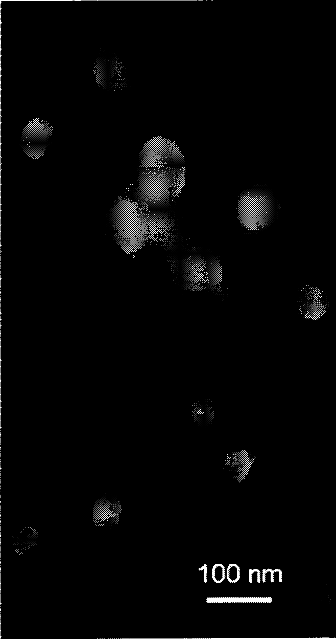 Novel cation lipoid, preparation and use thereof