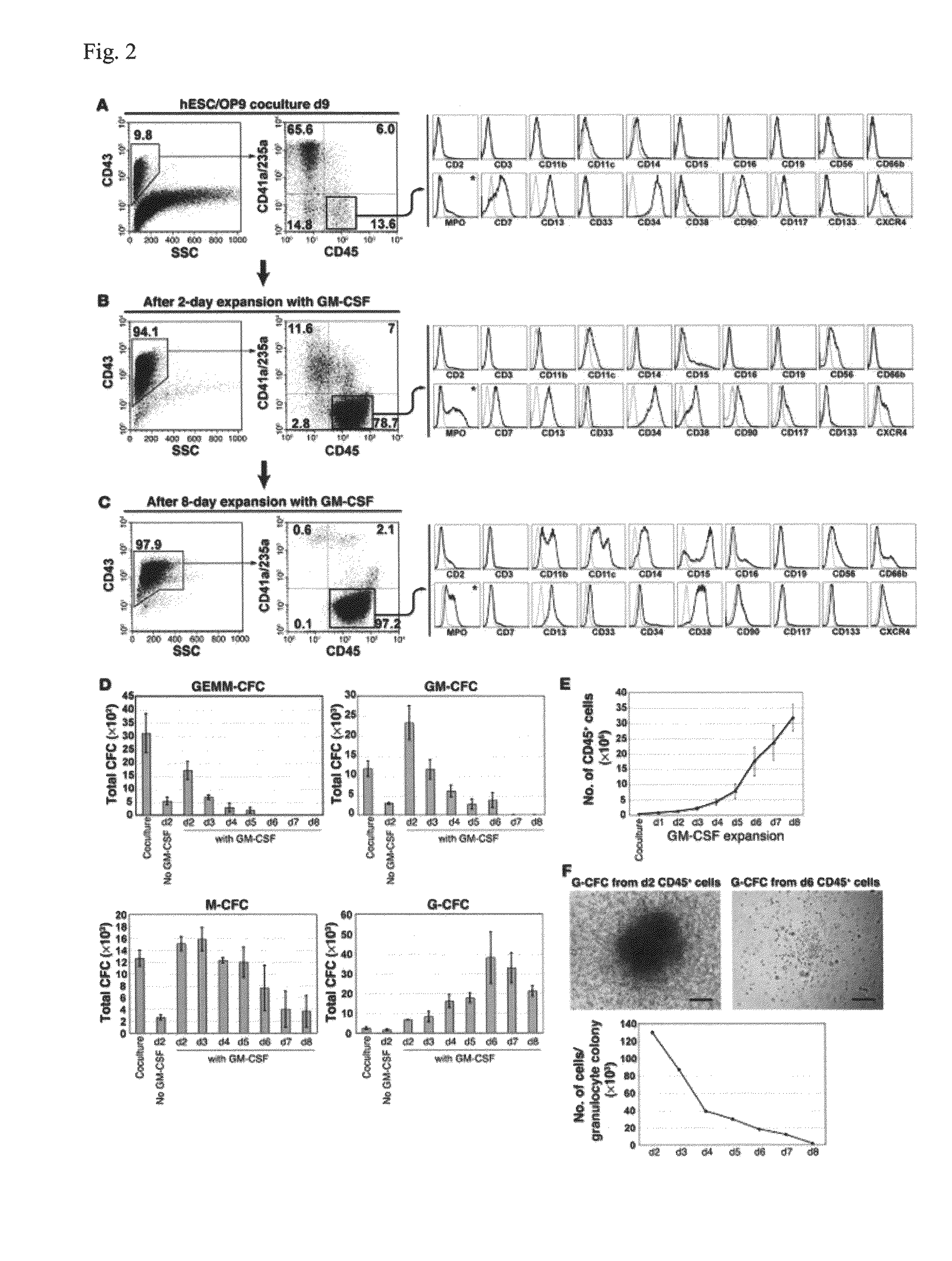 Generation of mature myelomonocytic cells through expansion and differentiation of pluripotent stem cell-derived lin-CD34+CD43+CD45+progenitors