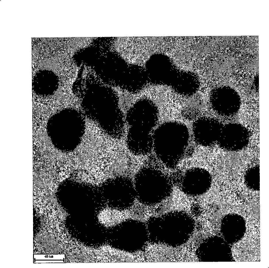 Medicament for easing pain and eliminating tumour and preparation method thereof