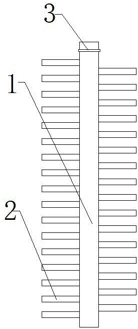 Planting method for interplanting among milk dates