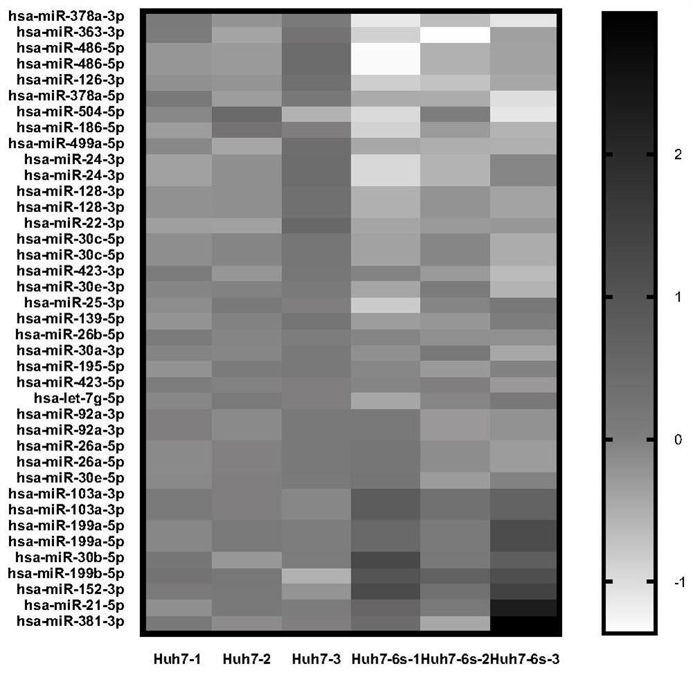 A kind of microrna and application thereof associated with tumor cell resistance to Sorafenib