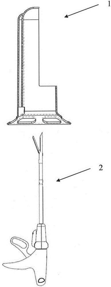 Anorectal surgery assisting device