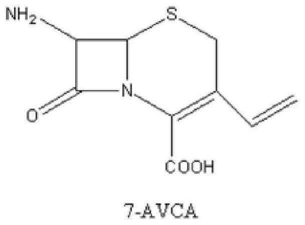 High performance liquid chromatography center control detection method in 7-AVCA production process