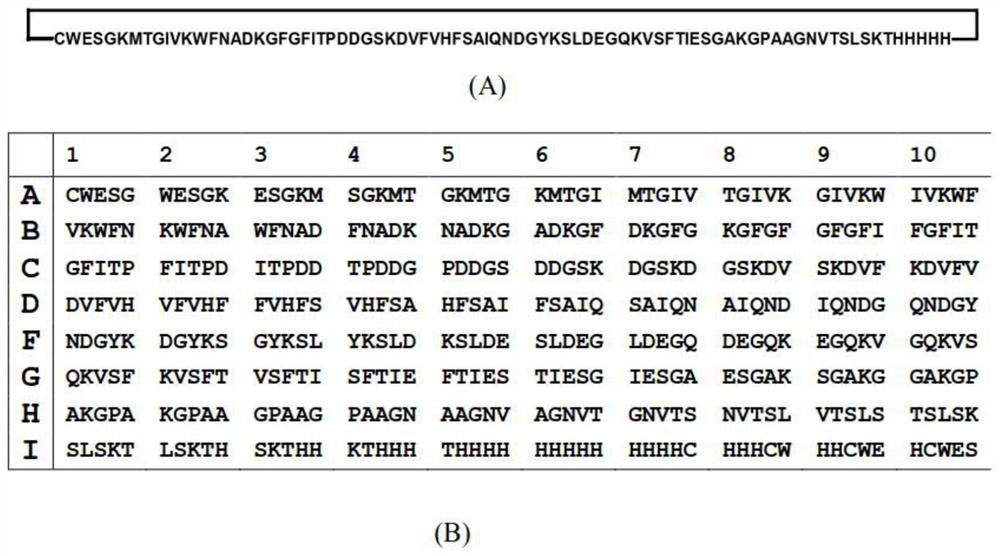 Peptide library constructing method