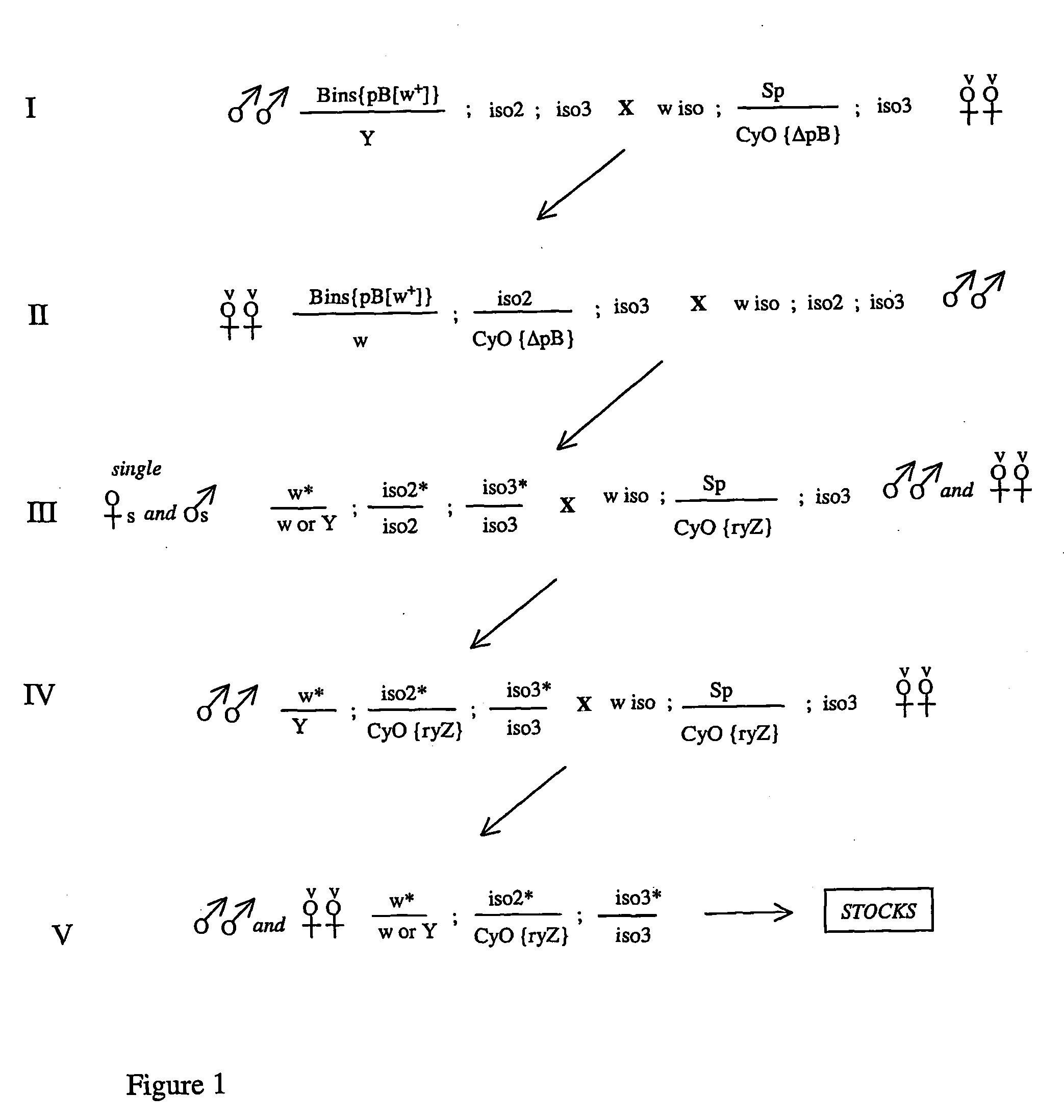 Insect ammunition vectors and methods of use to identify pesticide targets