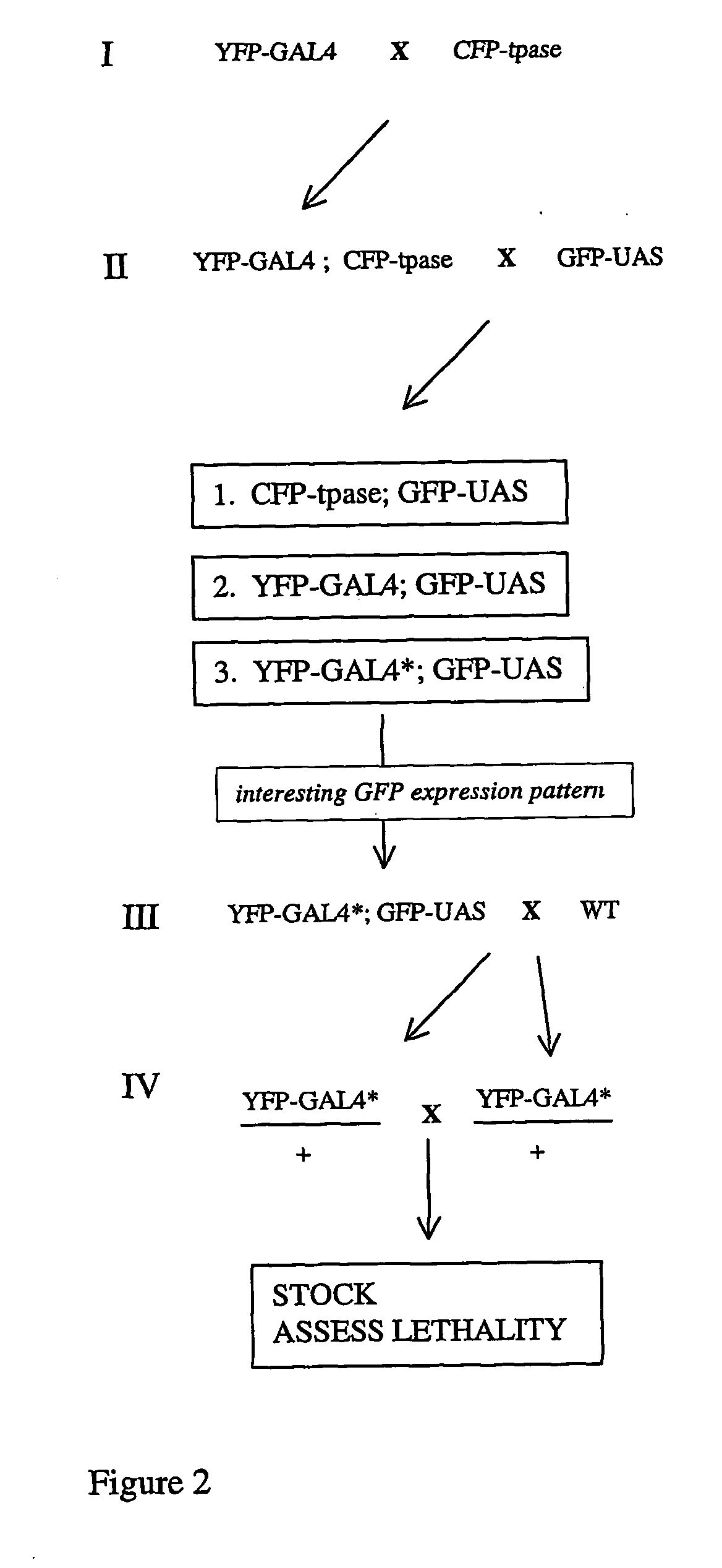 Insect ammunition vectors and methods of use to identify pesticide targets