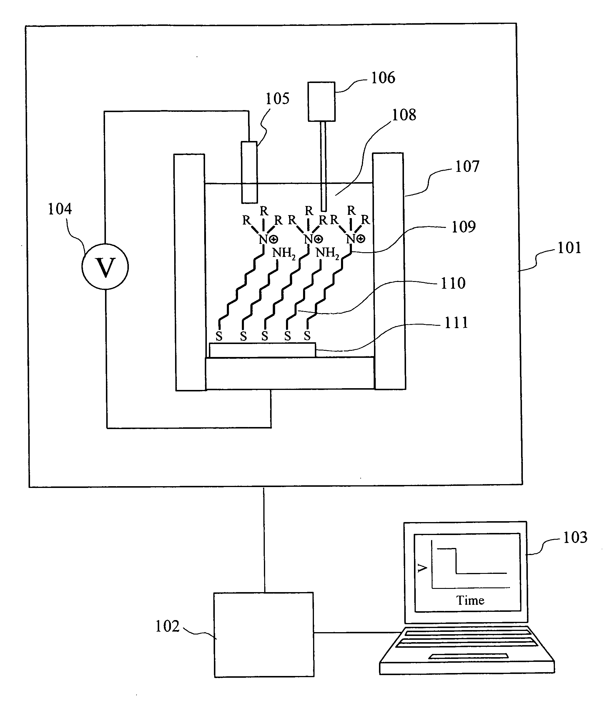 Anion concentration measuring device and anion concentration measuring element