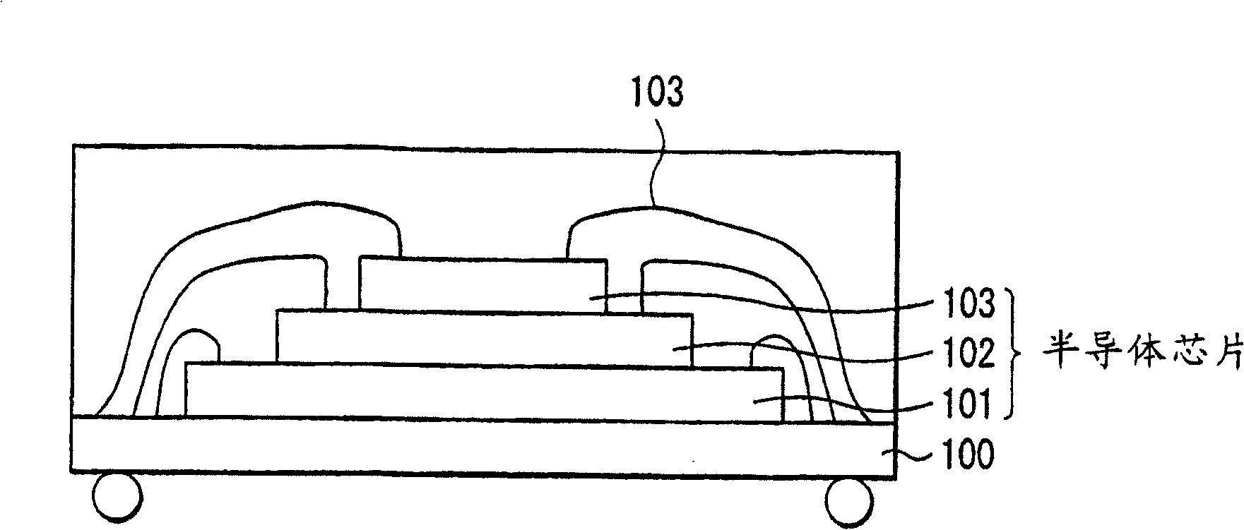 Semiconductor chip mounting body and manufacturing method thereof