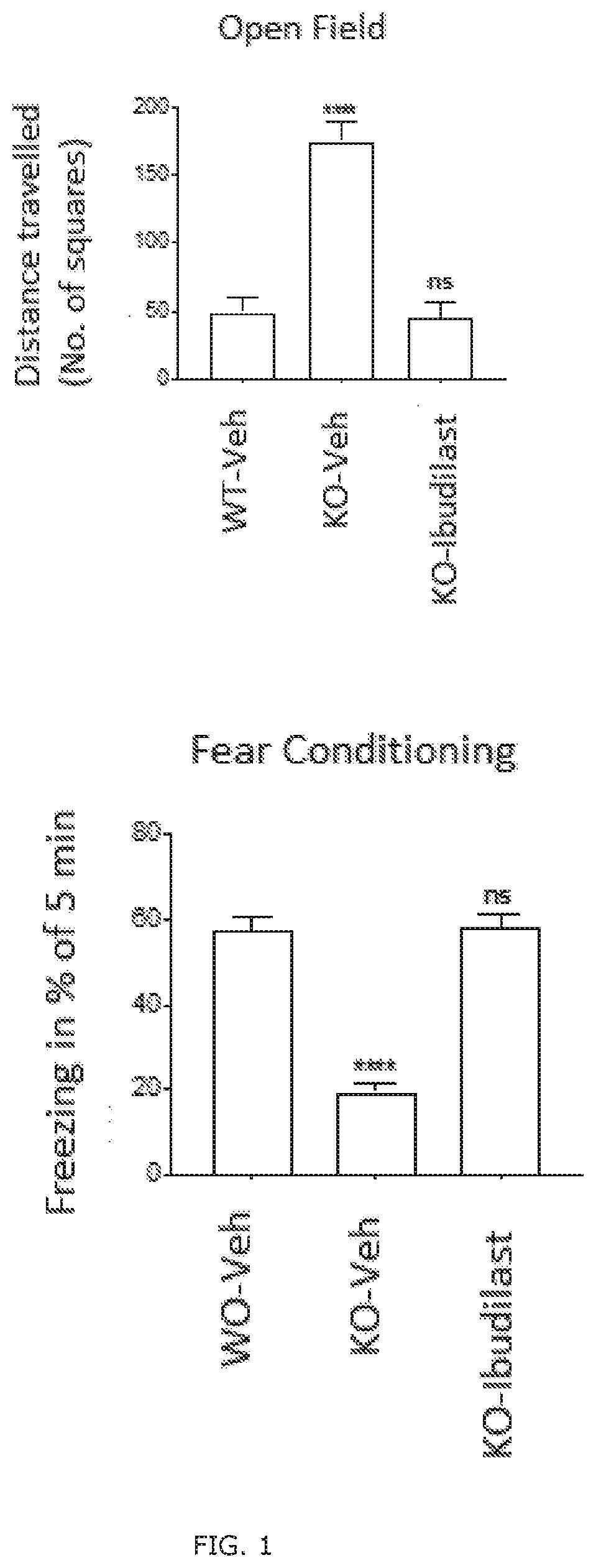 Treatment of fragile x syndrome