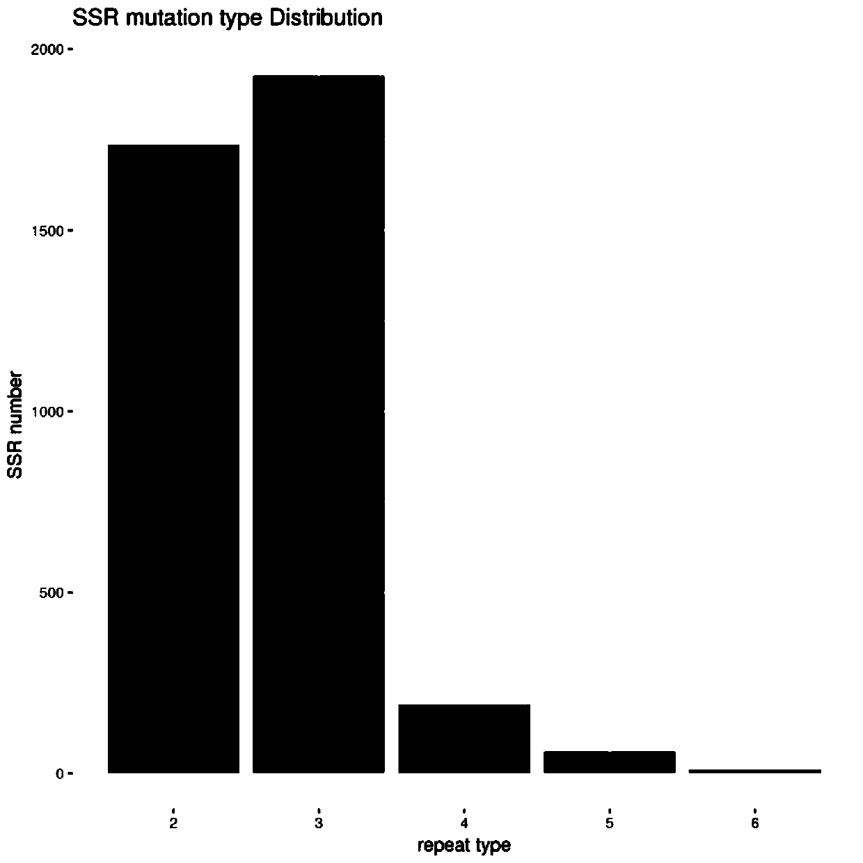 SSR primer group of taro and application thereof