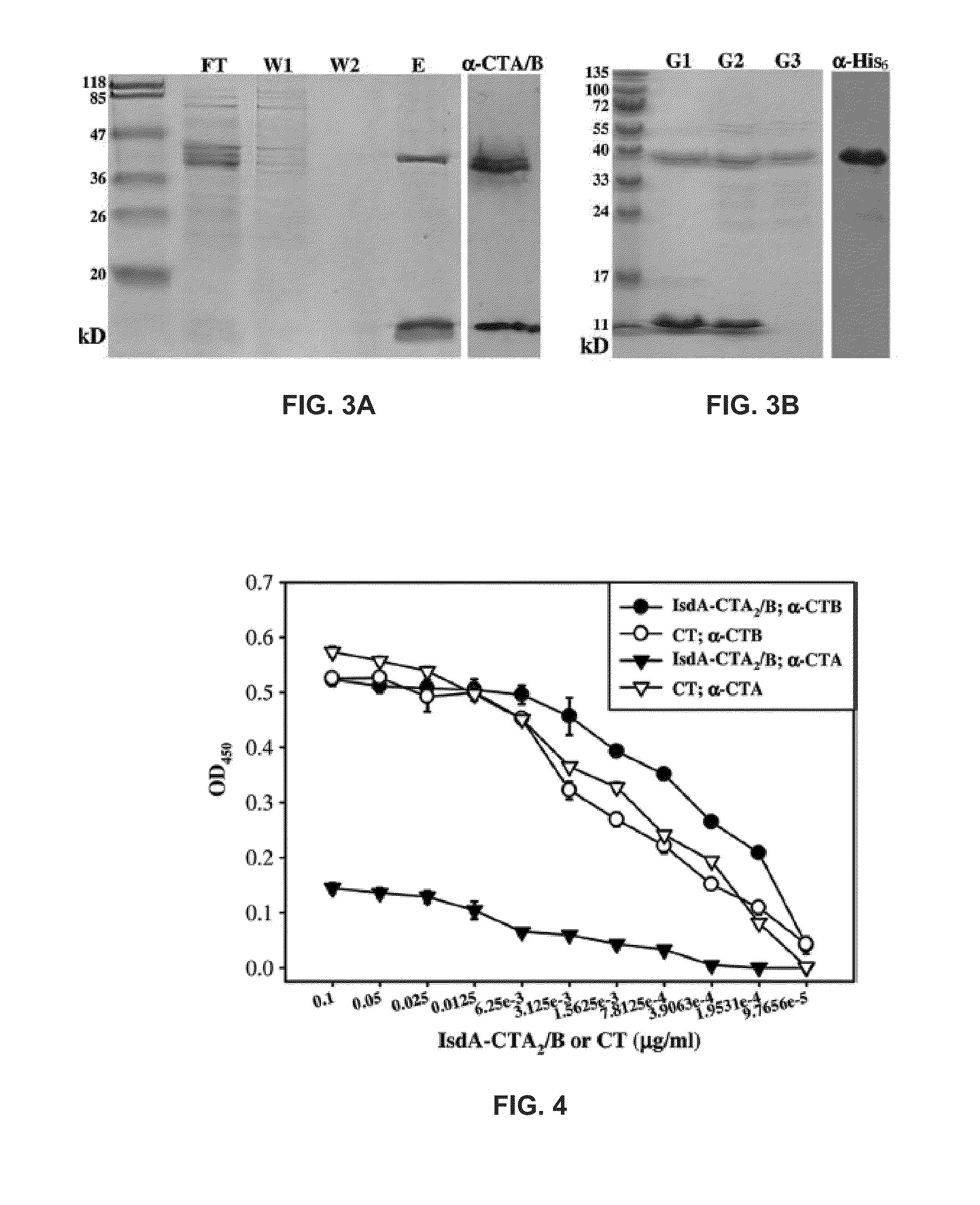 Cholera Toxin Chimera and its Use as a Staph Vaccine