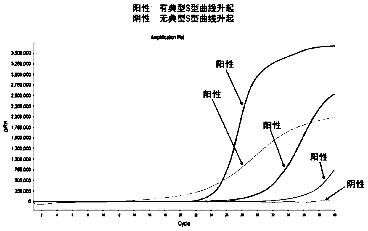 Method, primers, probe and detection agent for tumor gene mutation detection