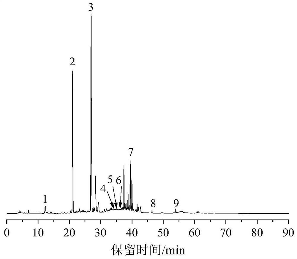 Method for simultaneously detecting multiple active ingredients in eucommia ulmoides by utilizing high performance liquid chromatography and wavelength switching technology