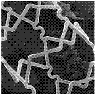 Bilobalide B-sirolimus asymmetric compound drug eluting stent and preparation method thereof