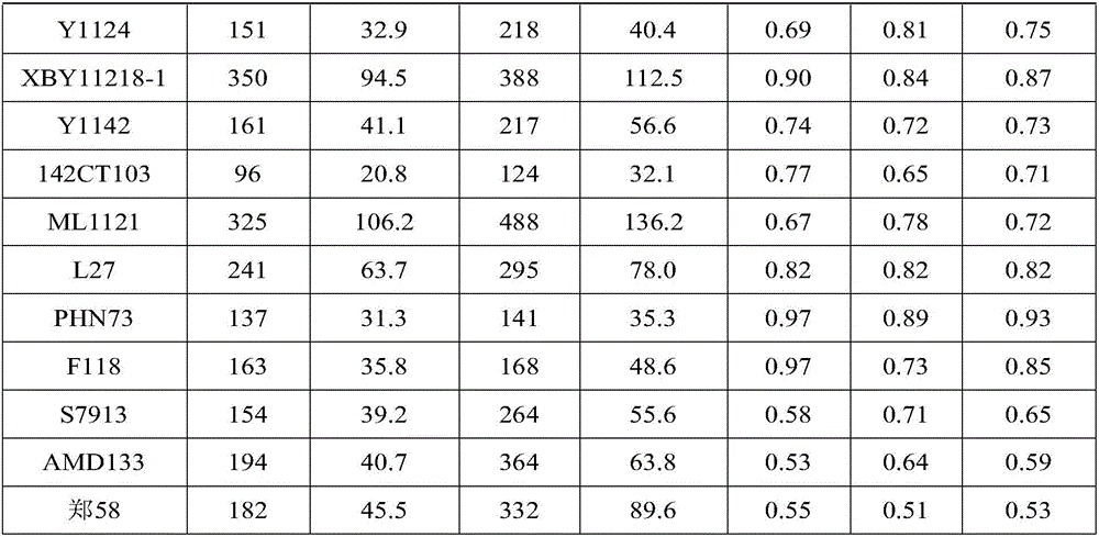 Method for performing field screening on maize inbred line with strong high-temperature resistance