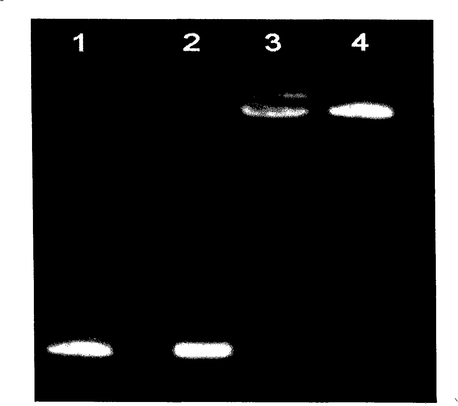 Anthracene nucleus medicament nano-preparation, preparation method and application thereof