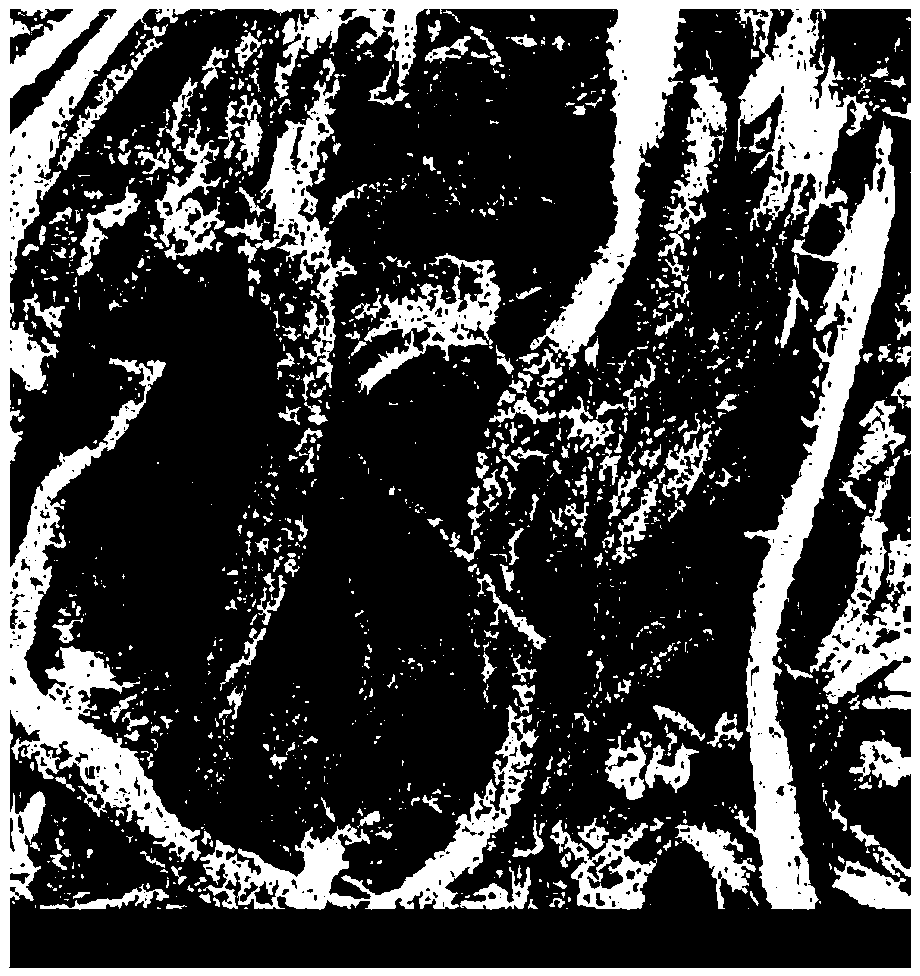 Method for preparing loaded nano zinc oxide functional filter paper