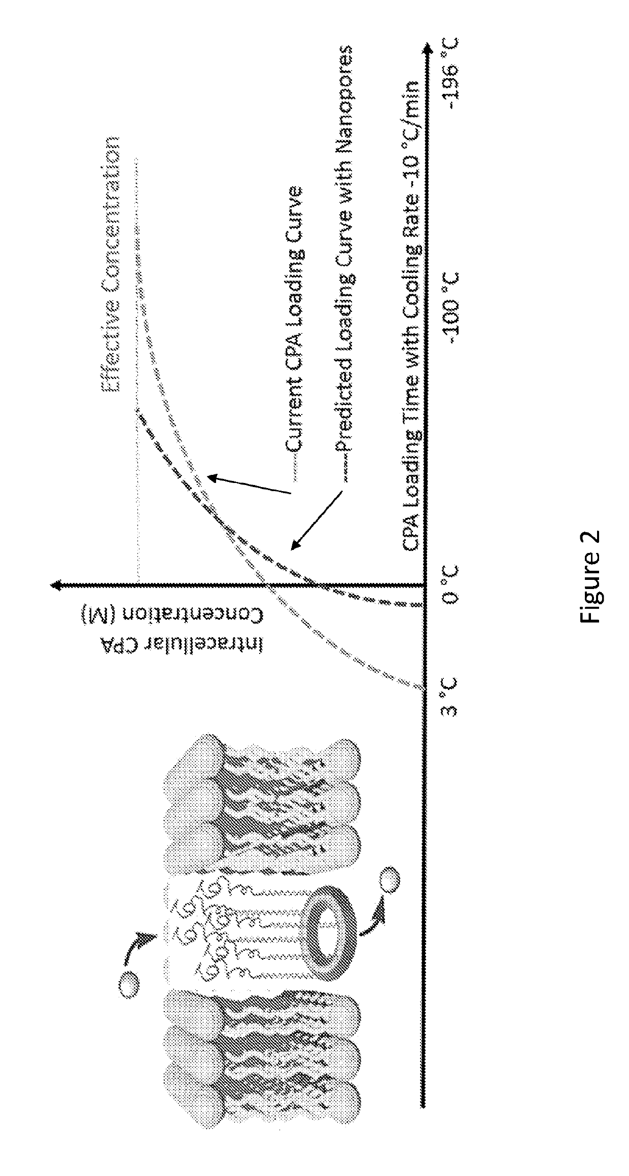 Macrocyclic compounds and methods of making and using same